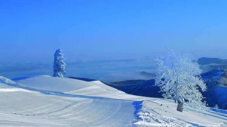 Dolné Rakúsko - austria.sk - lyžiarske strediská - lyžovanie - sánkovanie