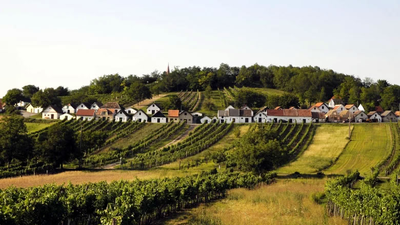 Rakusko - Weinviertel - vino - jar - ochutnavka - austria.sk
