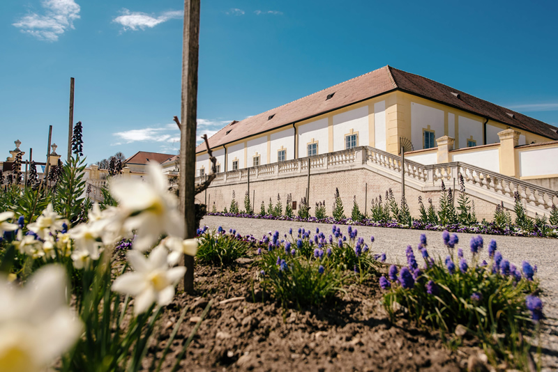 rakusko,schlosshof,jar,vystava