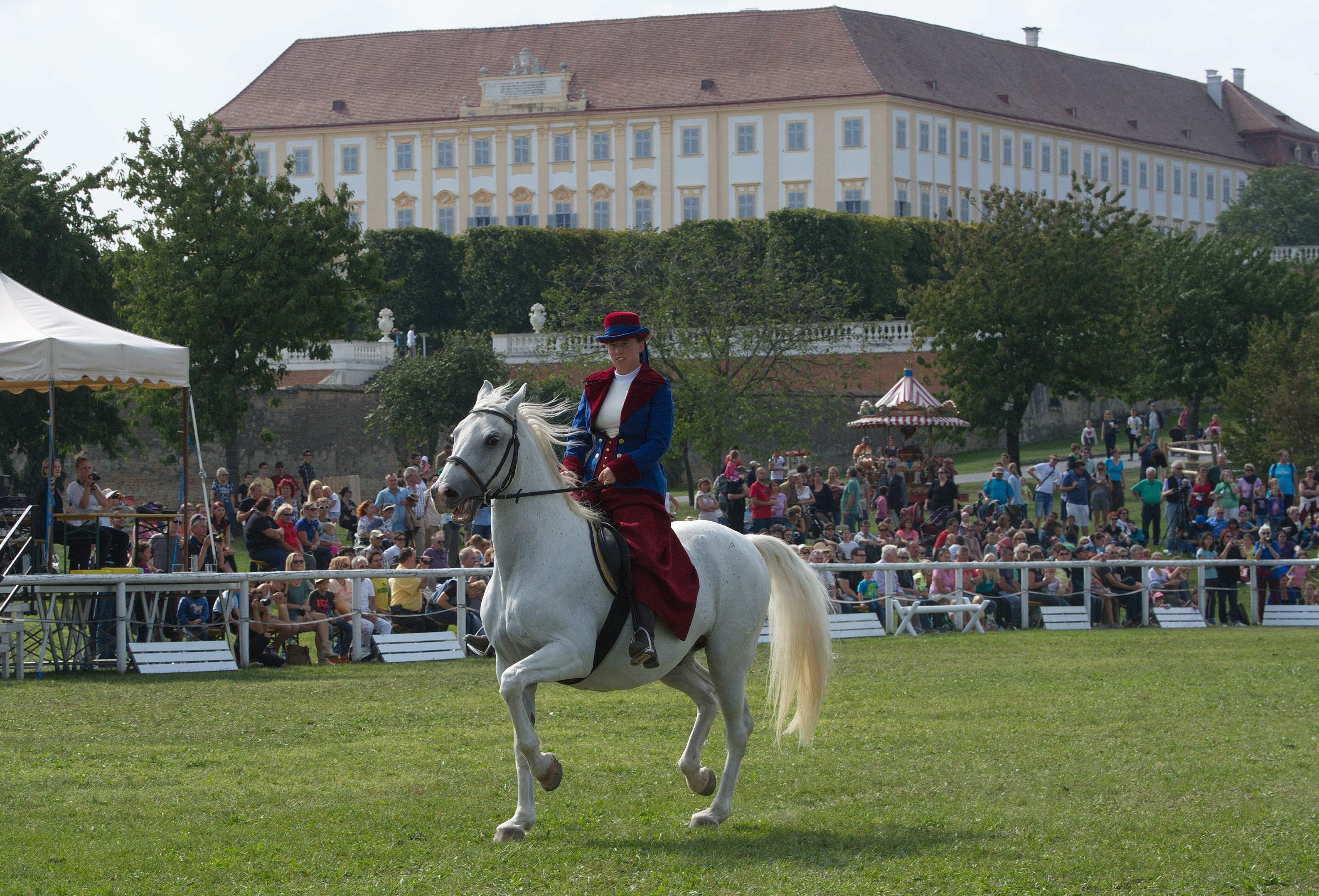 Schloss Hof - kone - kam s detmi - rakusko - austria