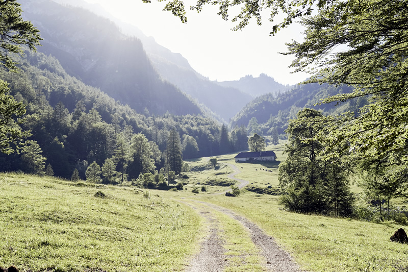 Horné Rakúsko - kone - tip na výlet - dovolenka - austria.sk