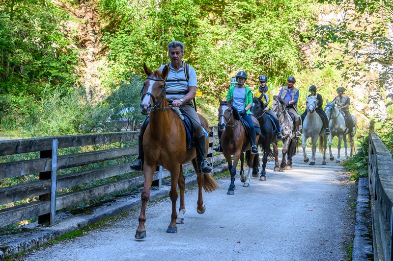 Horné Rakúsko - kone - tip na výlet - dovolenka - austria.sk