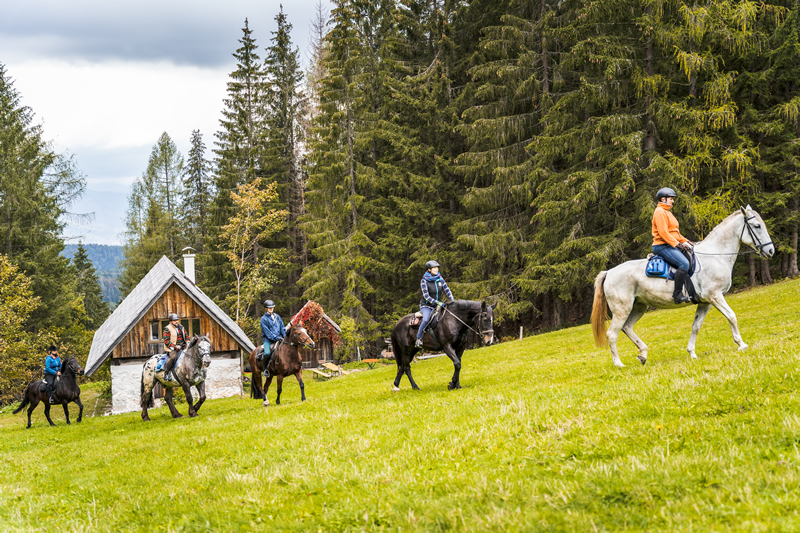 Horné Rakúsko - kone - tip na výlet - dovolenka - austria.sk