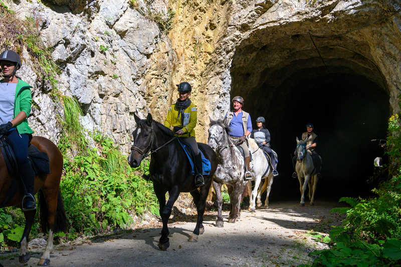 Horné Rakúsko - kone - tip na výlet - dovolenka - austria.sk